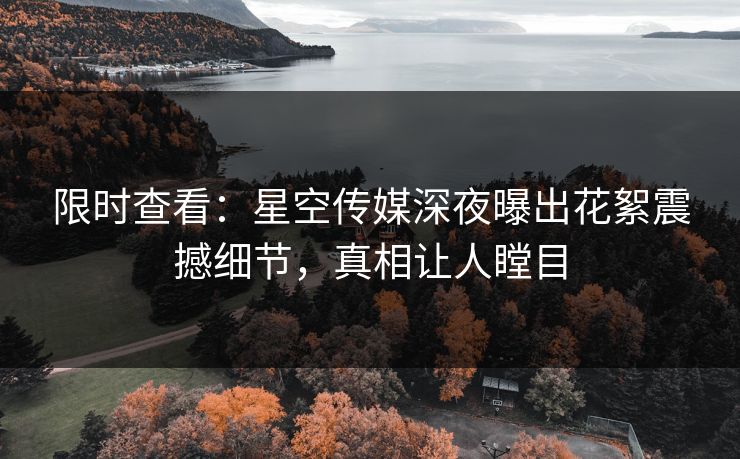 限时查看：星空传媒深夜曝出花絮震撼细节，真相让人瞠目