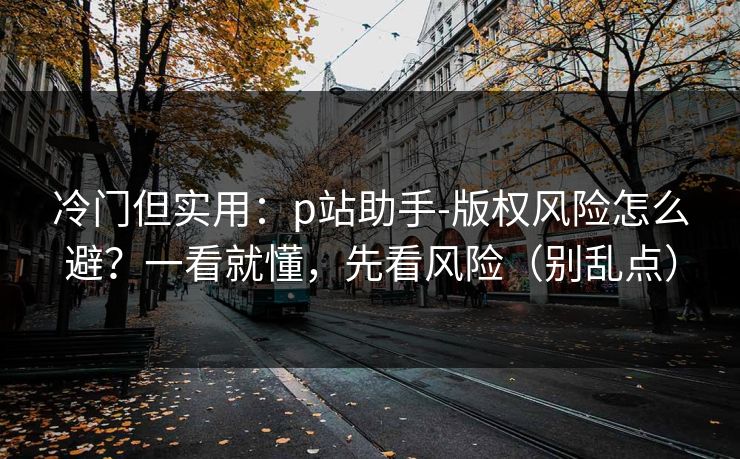冷门但实用：p站助手-版权风险怎么避？一看就懂，先看风险（别乱点）